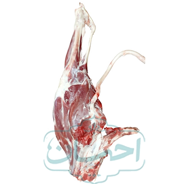 ران گوسفندی